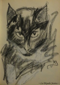 ~ The most popular Cat of the Street ~ Fusain et pastel ~ Issu du " The Book of Feline Dreams "